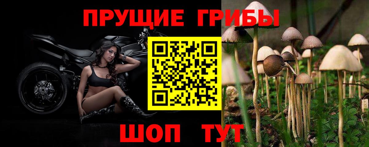 Псилоцибиновые грибы MAGIC MUSHROOMS  Галлюциногенные грибы Cubensis  Сарапул  где найти наркотики  Вход с VPN 